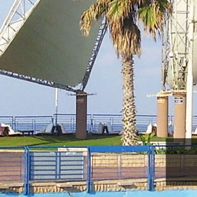 Naharia