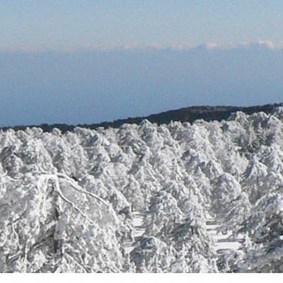 Prodromos