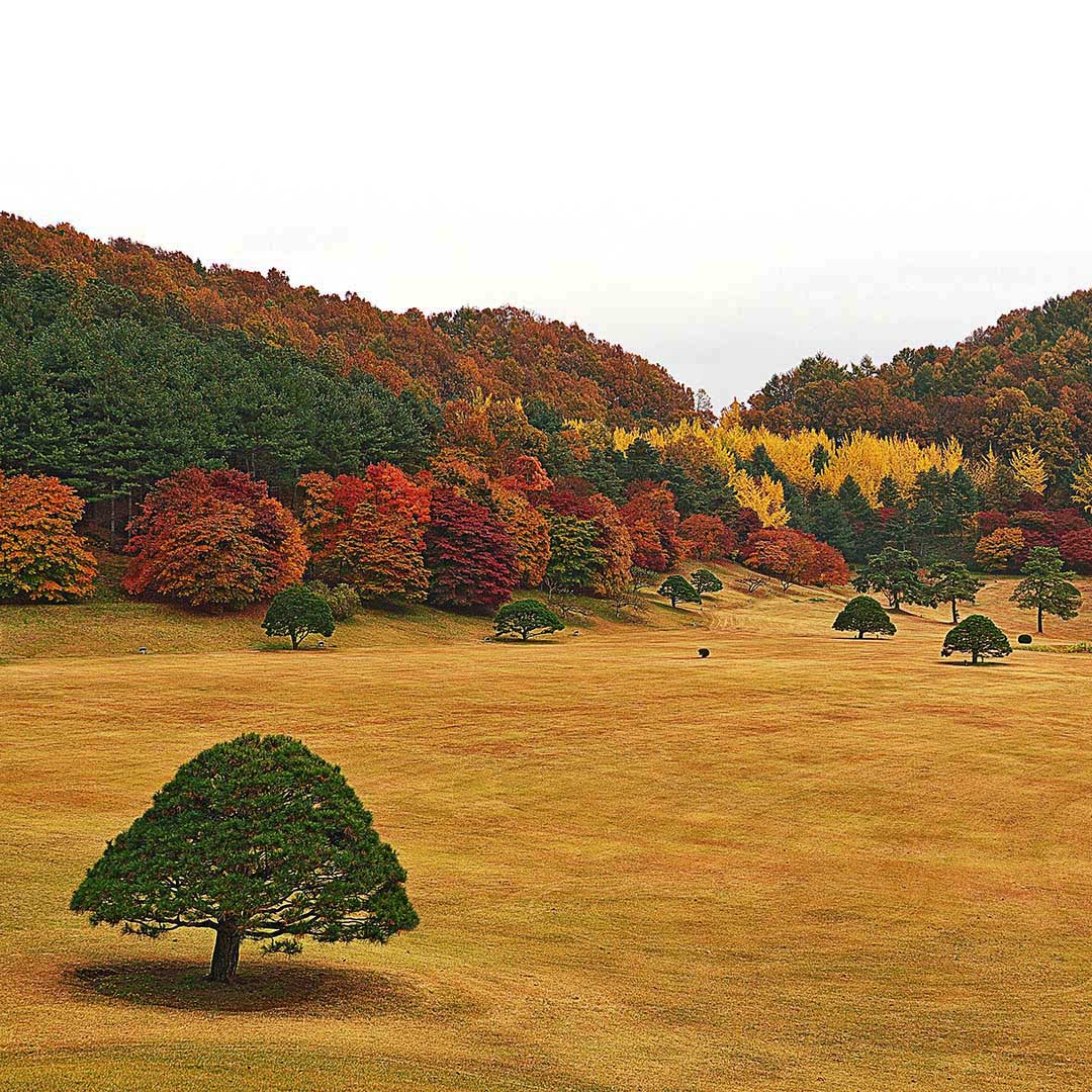 Daejeon