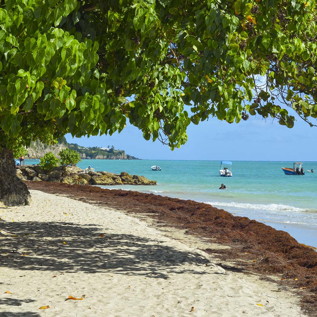 Guadeloupe Guadeloupe